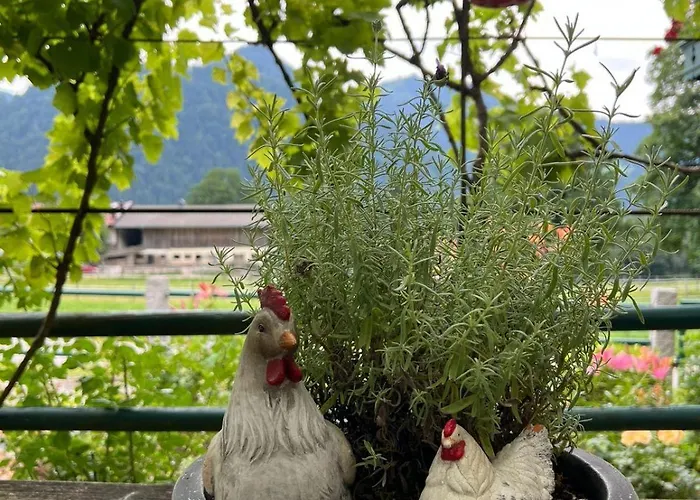 Hitscherhof - Abart Soll