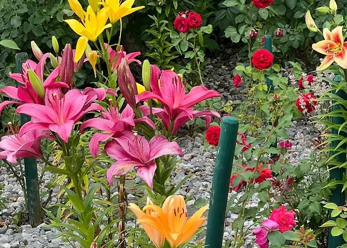 Farm stay Hitscherhof - Abart